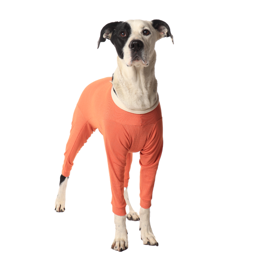 Luna & Milo CopperBody 4-Legs #5