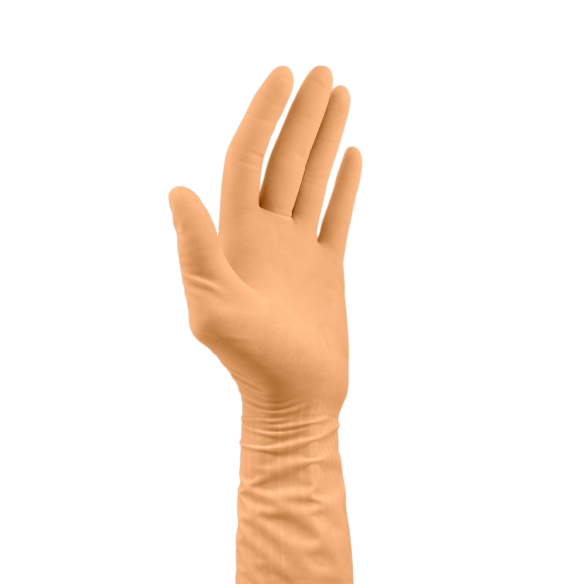 Protexis® Latex operatiehandschoen - maat 6,5, 50 stuks | Cardinal Health