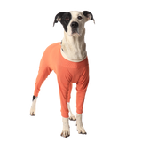 Luna & Milo CopperBody 4-Legs #13